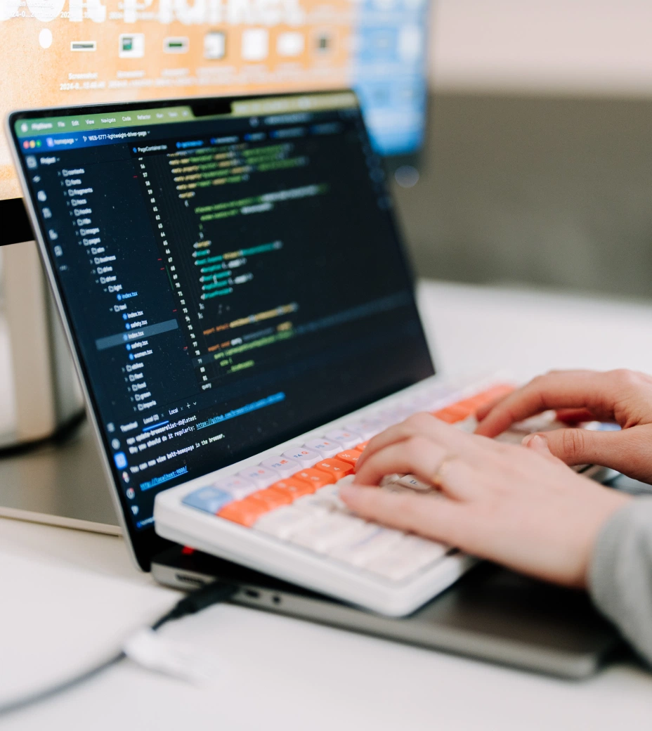 Main tasks and responsibilities: