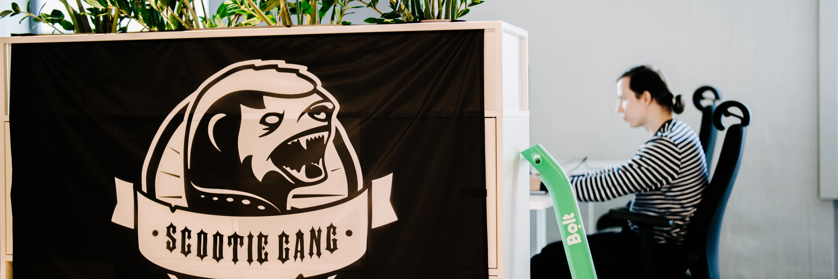 Header image